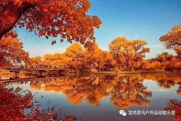 我相门云G7759东风小康有没有为规的? - 冷知识分享平台