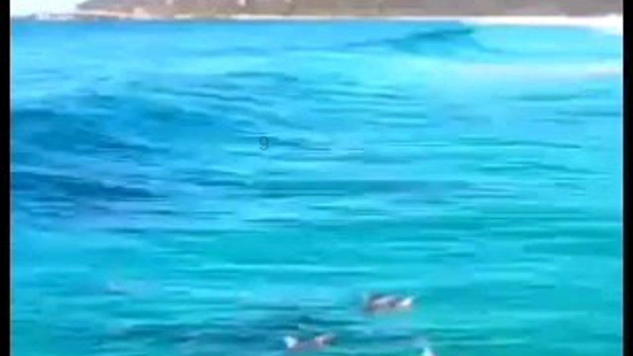 沪江开心词场